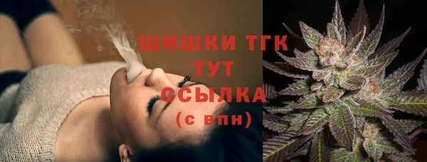 сатива Бугульма