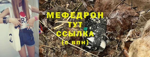 крисы Бородино