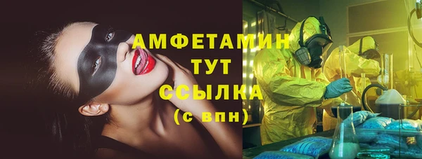 гидра Бронницы