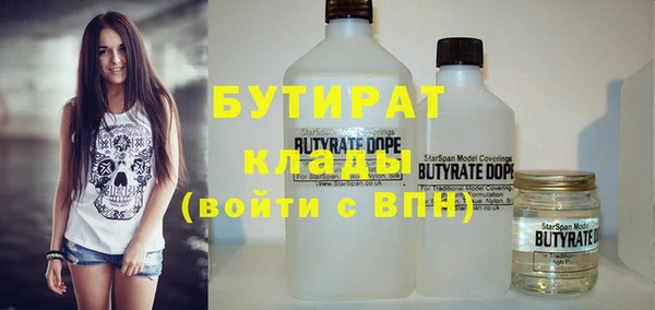 крисы Бородино