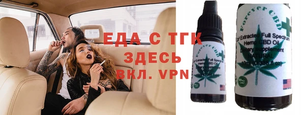 крисы Бородино