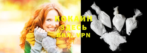 гидра Бронницы