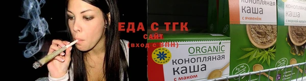 крисы Бородино