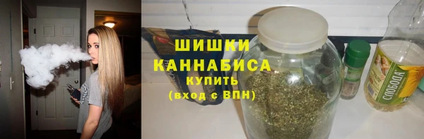 гидра Бронницы