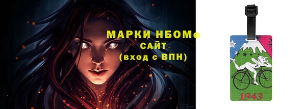 крисы Бородино