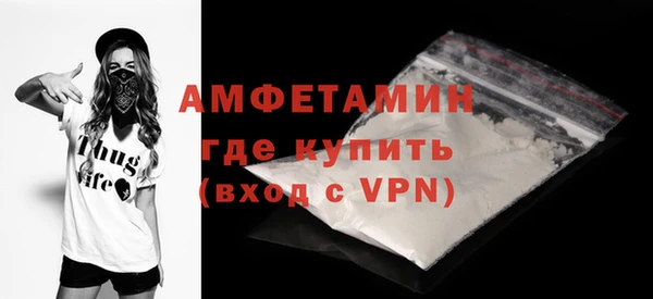 крисы Бородино