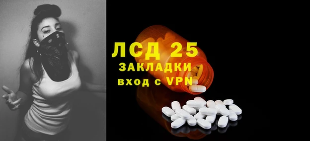 крисы Бородино