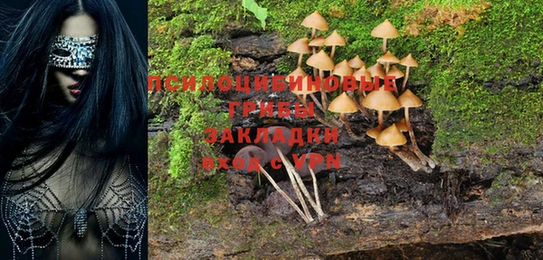 гидра Бронницы