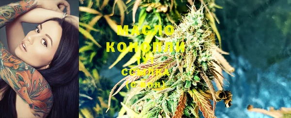 крисы Бородино