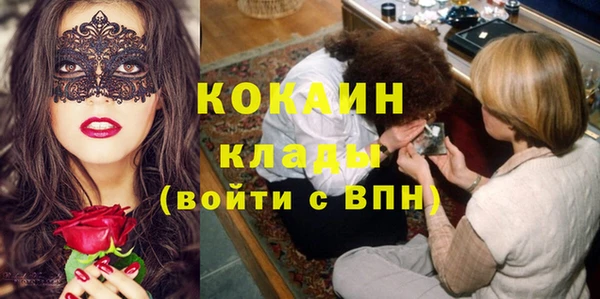 крисы Бородино