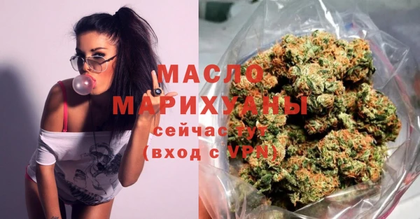 крисы Бородино