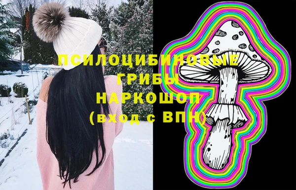 сатива Бугульма