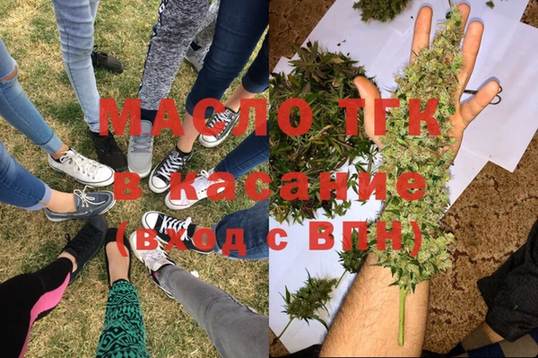 сатива Бугульма