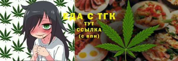 крисы Бородино