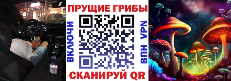 Галлюциногенные грибы Psilocybe наркошоп Нижнекамск